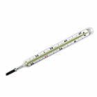 Household Medical Mercury Clinical Thermometer For Children / Adult