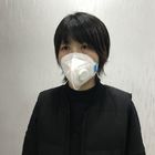 Single Use Disposable Dust Mask , Procedure Face Mask Two Strap Design