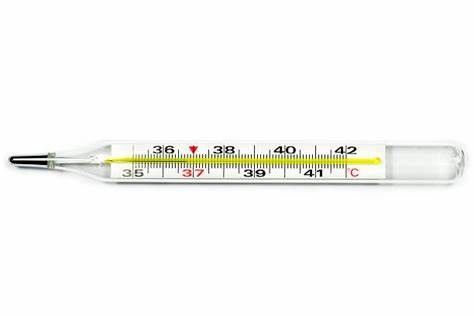 Adult / Children Mercury In Glass Thermometer With Clearly Value