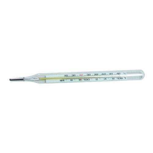 Adult / Children Mercury Fever Thermometer For Body Temperature