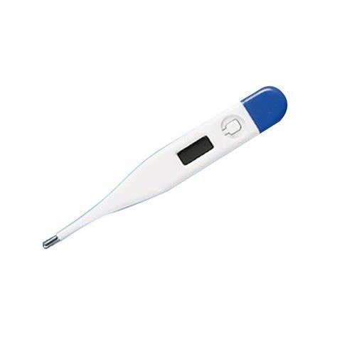 High Durability Digital Clinical Thermometer For Measuring Body Temperature