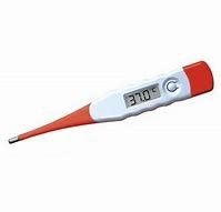 China Small Size Most Accurate Digital Thermometer With Last Memory Reading factory